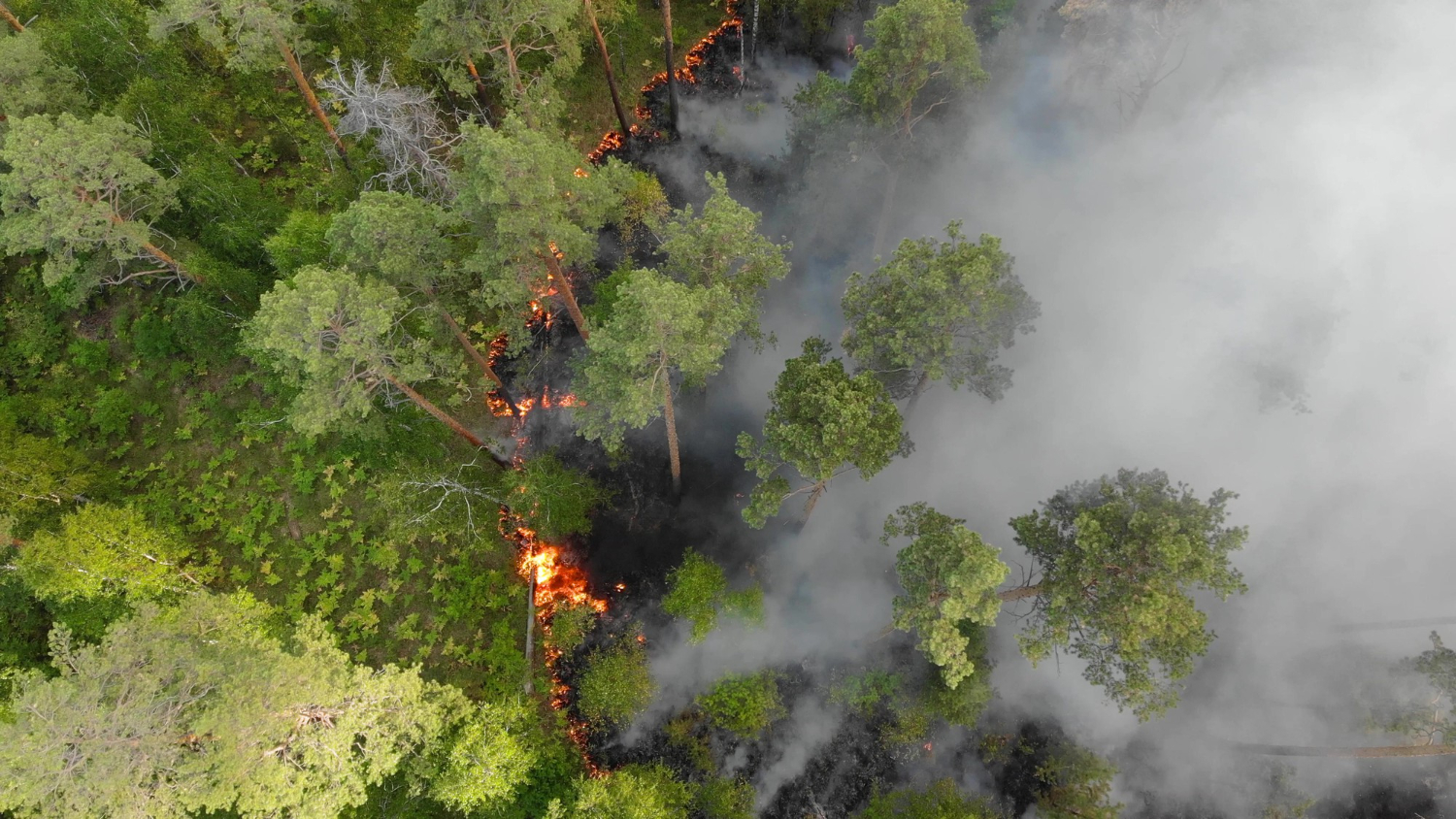 Geospatial Data for Disaster Management