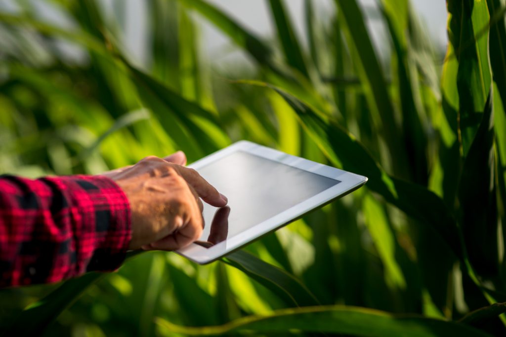 GIS-Enabled Crop Monitoring