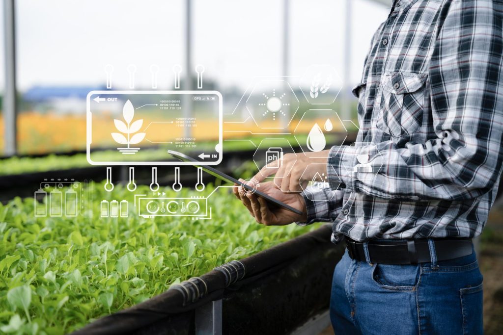 GIS-Enabled Crop Monitoring