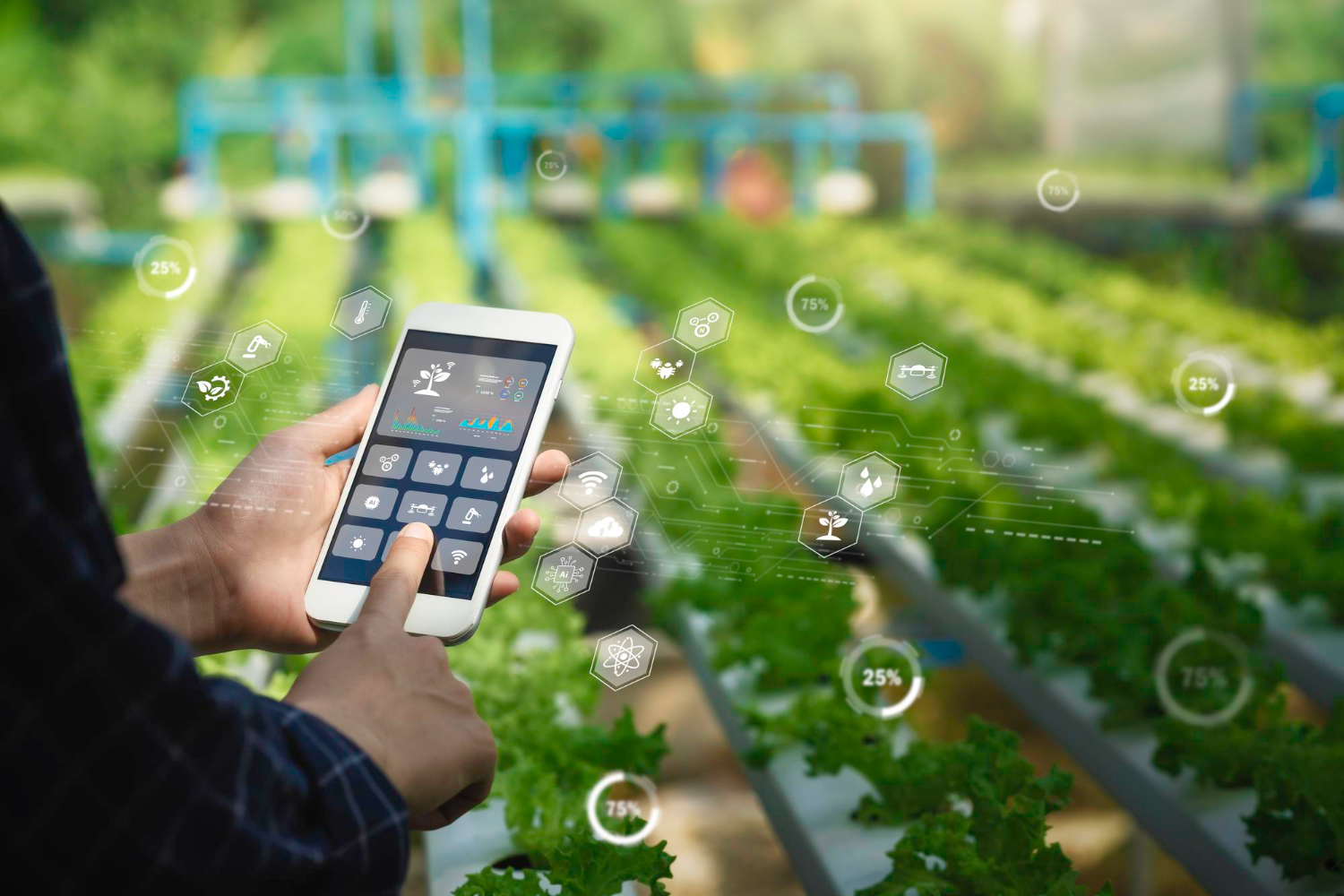 GIS-Enabled Crop Monitoring