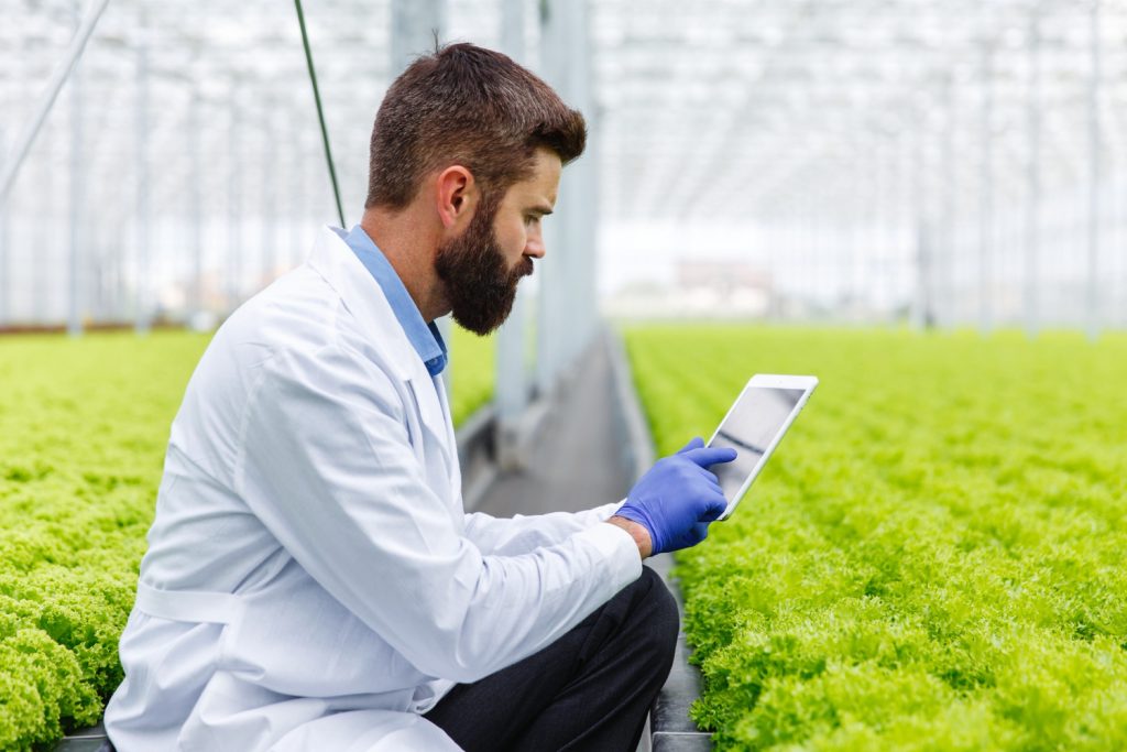 GIS-Enabled Crop Monitoring
